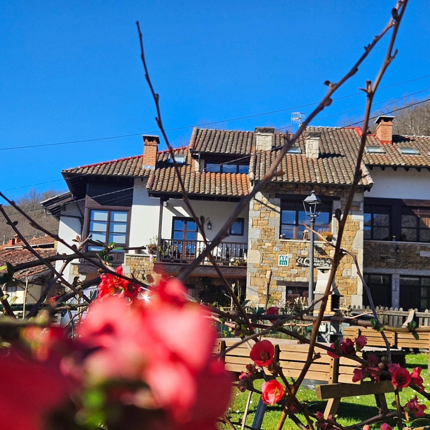 Apartamentos Rurales El Collain De Campiellos Kültér fotó